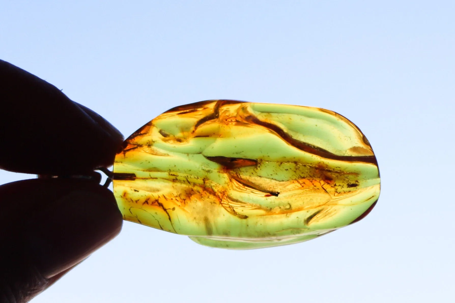 Baltic Amber Pendant Fossil Insect Natural Honey Unisex Jewelry 2" 4.2 gram 925 silver