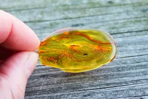 Baltic Amber Pendant Fossil Insect Natural Honey Unisex Jewelry 2" 4.2 gram 925 silver