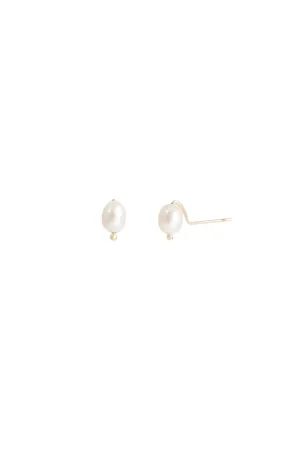 Freshwater Pearl Studs in Yellow Gold