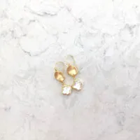 Mother of Pearl Hook Earrings