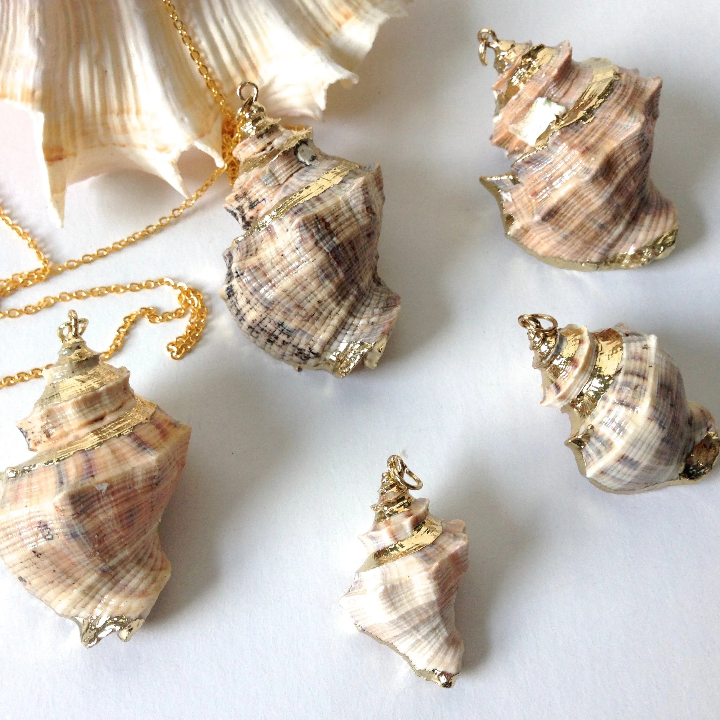 (On Sale!) Golden Conch Shell Necklaces