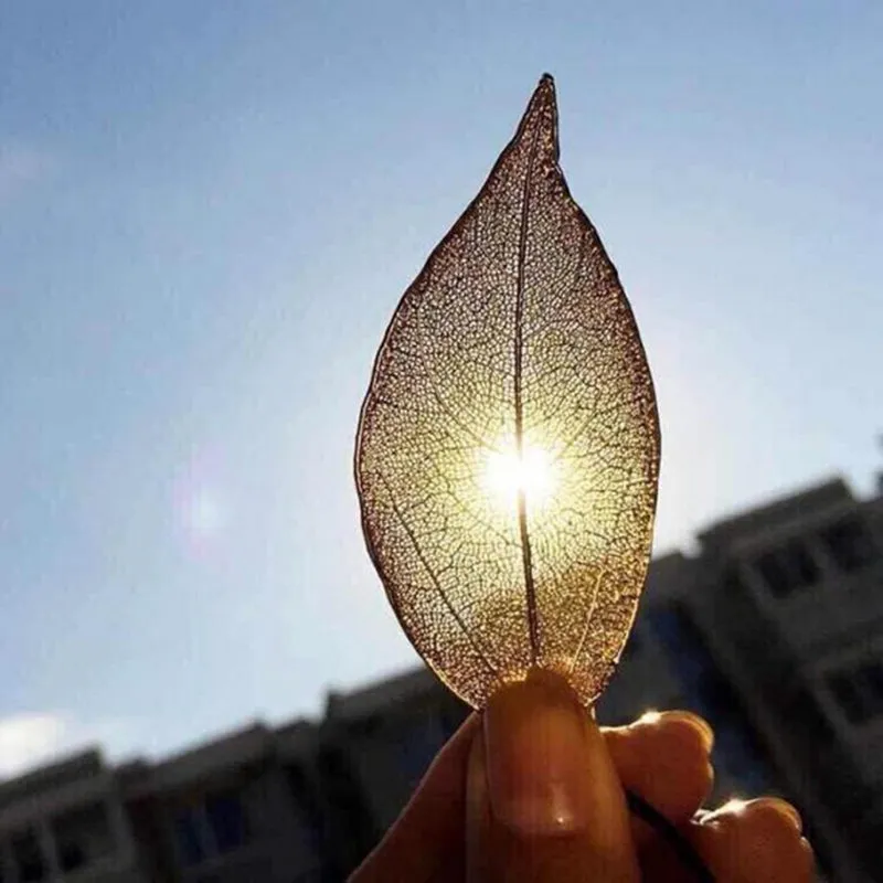 Unique Leaf Pendant Statement Necklace